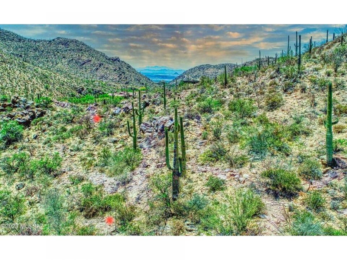 Picture of Residential Land For Sale in Marana, Arizona, United States