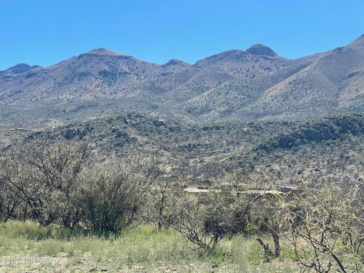 Picture of Residential Land For Sale in Rio Rico, Arizona, United States