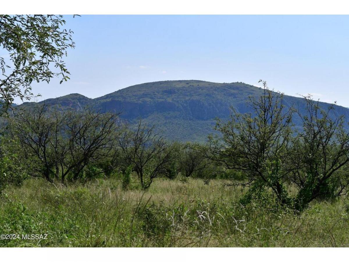 Picture of Residential Land For Sale in Tubac, Arizona, United States