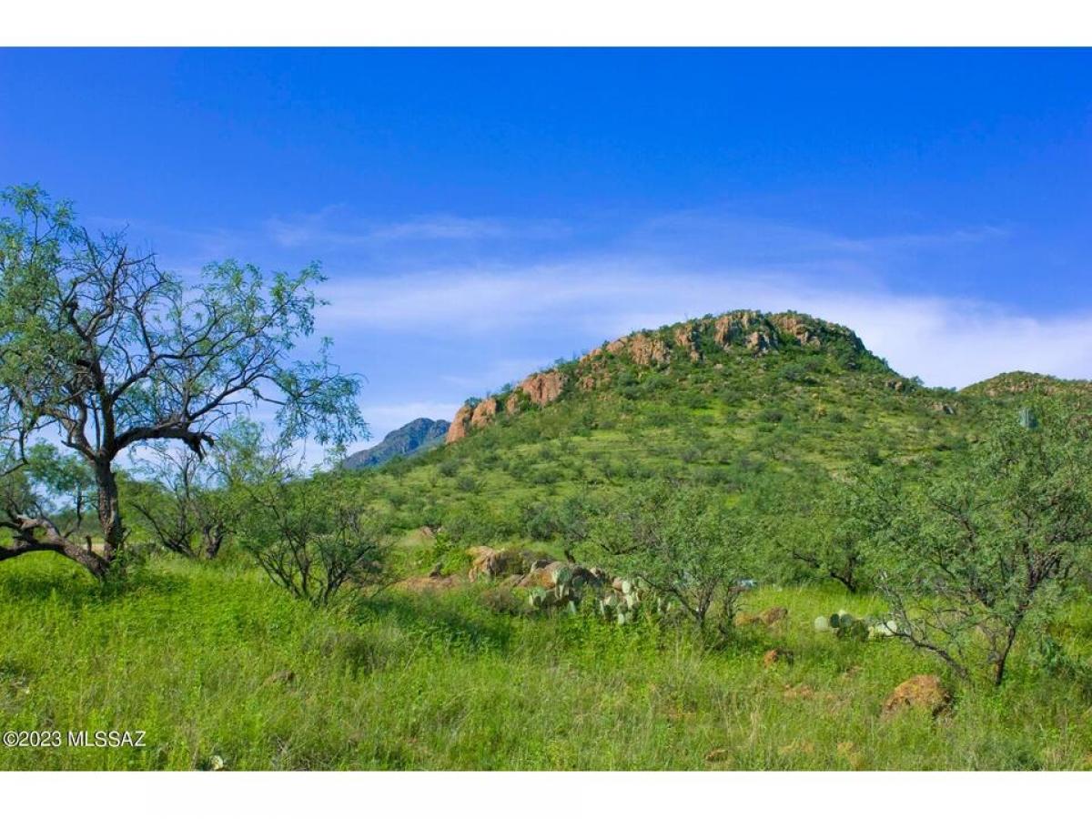 Picture of Residential Land For Sale in Tubac, Arizona, United States