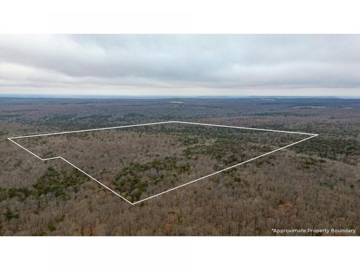 Picture of Residential Land For Sale in Menlo, Georgia, United States