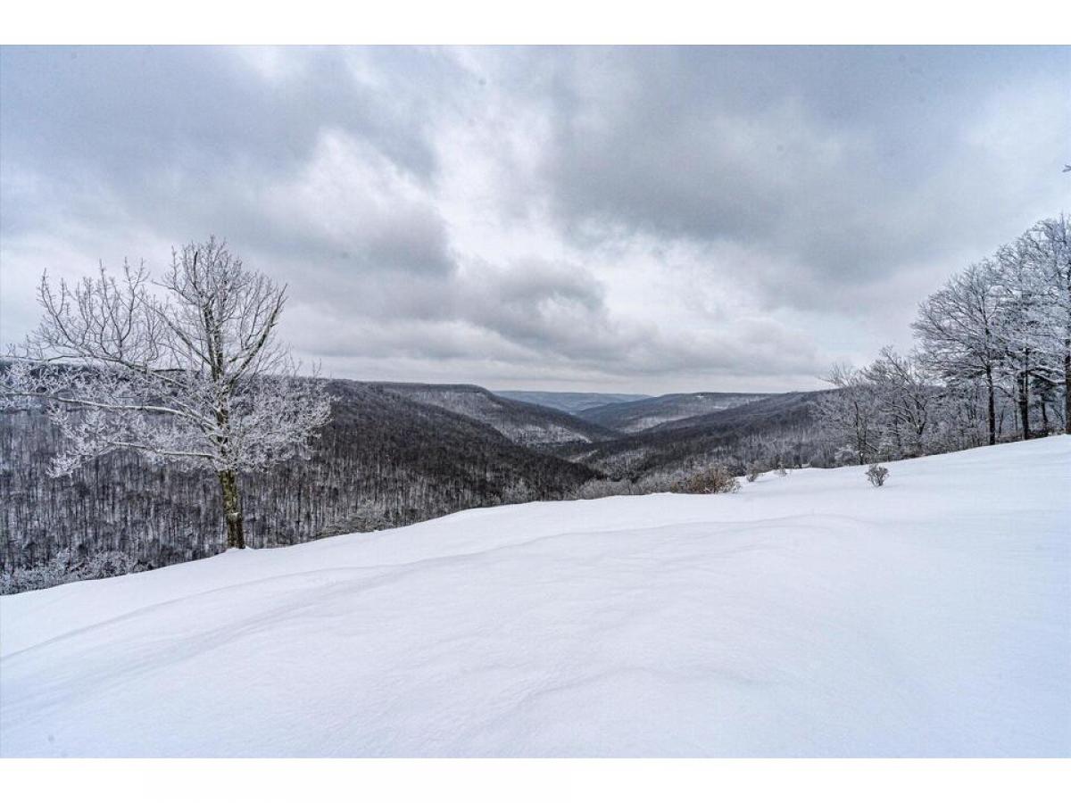 Picture of Residential Land For Sale in Spencer, Tennessee, United States