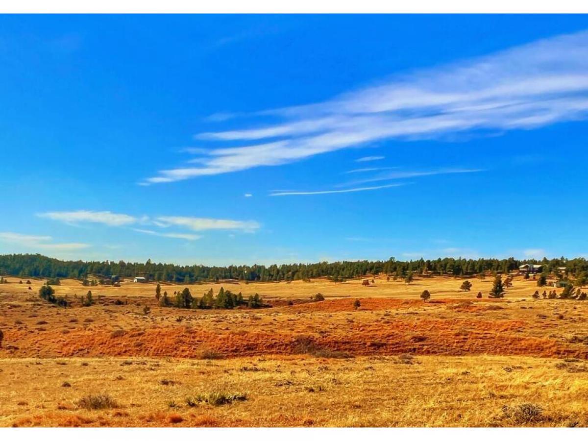 Picture of Residential Land For Sale in Sundance, Wyoming, United States