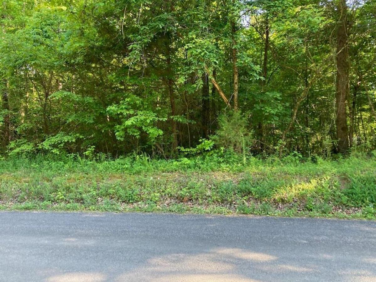 Picture of Residential Land For Sale in Birchwood, Tennessee, United States