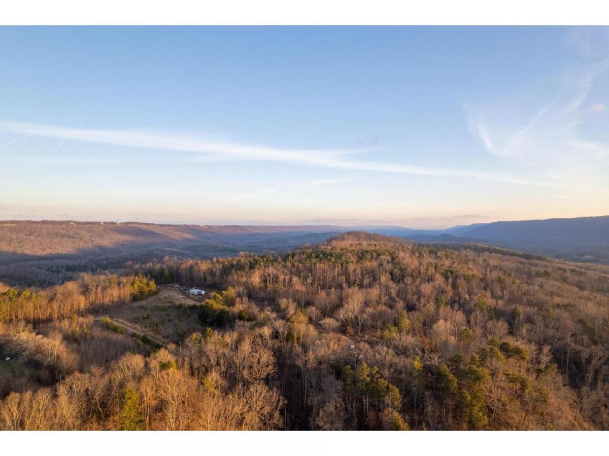 Picture of Residential Land For Sale in Rising Fawn, Georgia, United States