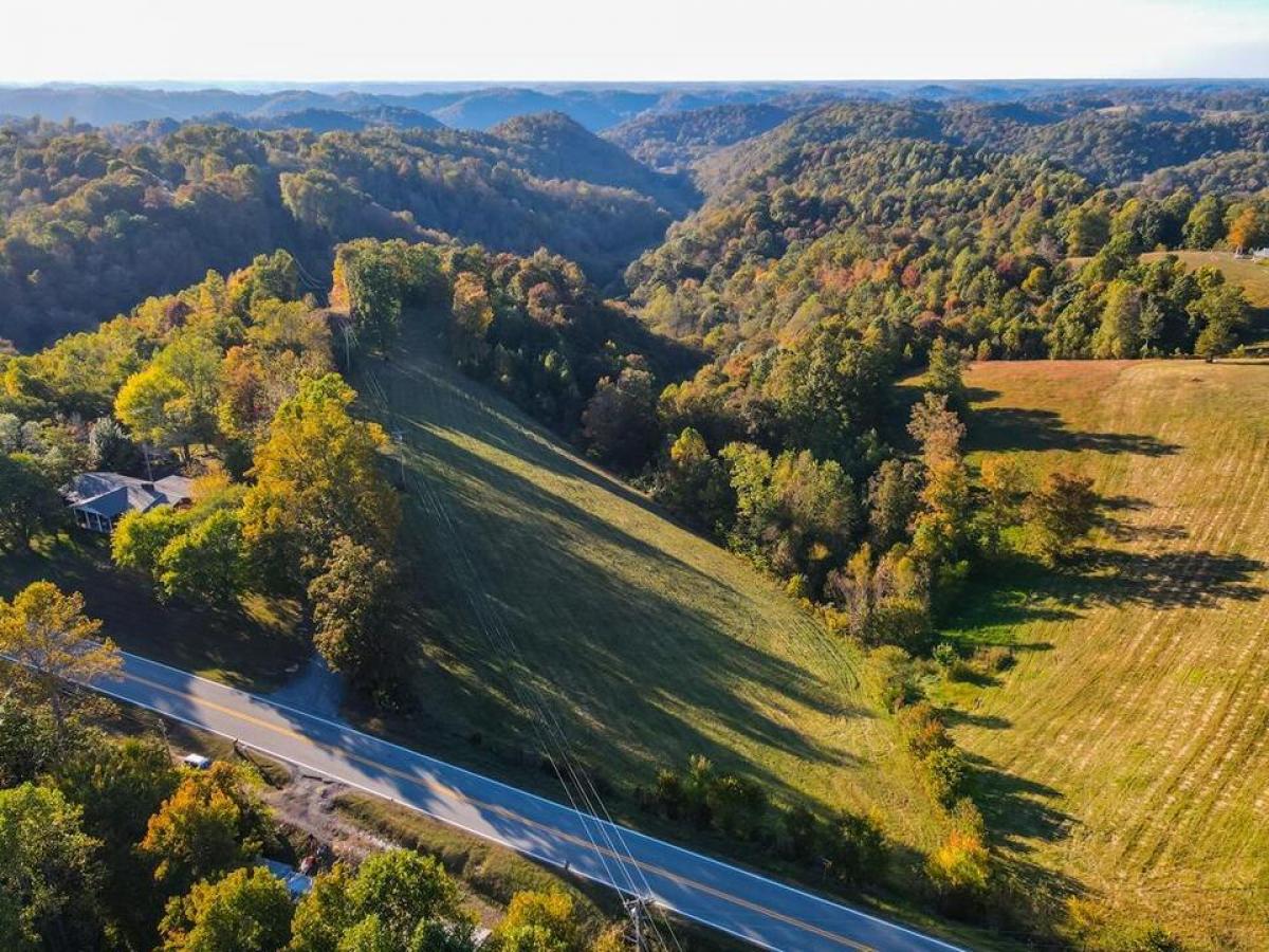 Picture of Residential Land For Sale in Gainesboro, Tennessee, United States