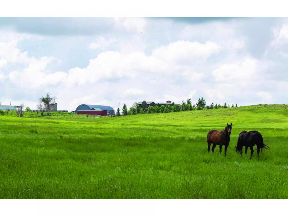 Picture of Home For Sale in Wheatland, Wyoming, United States