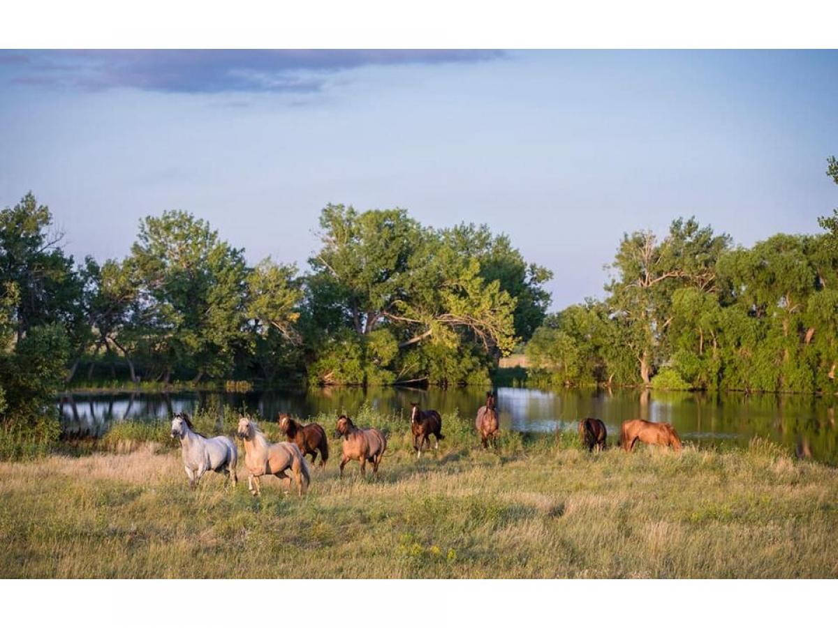 Picture of Farm For Sale in Wall, South Dakota, United States