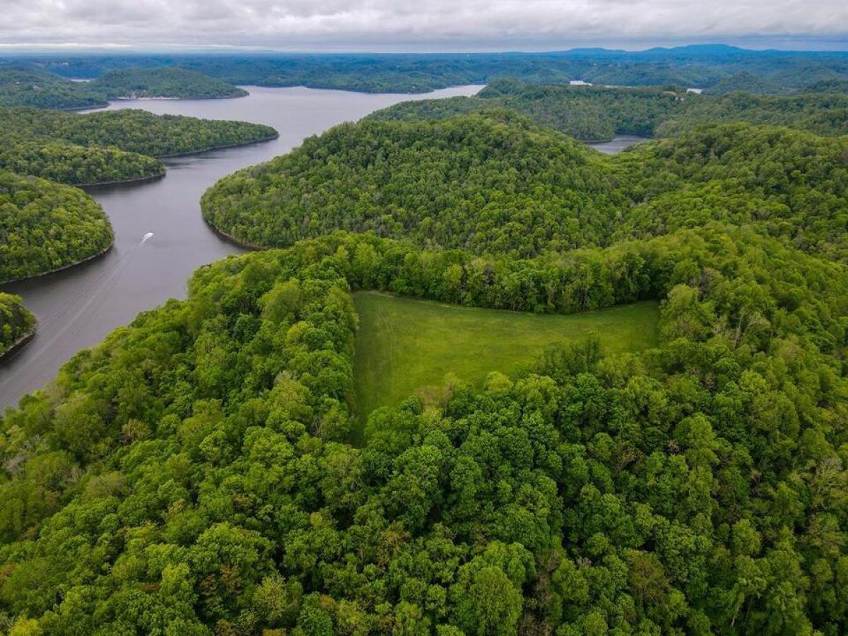 Picture of Residential Land For Sale in Silver Point, Tennessee, United States