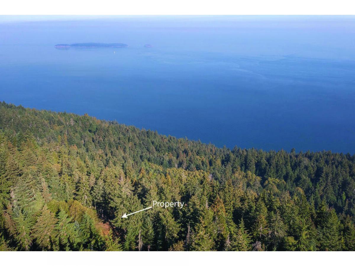 Picture of Residential Land For Sale in Eastsound, Washington, United States