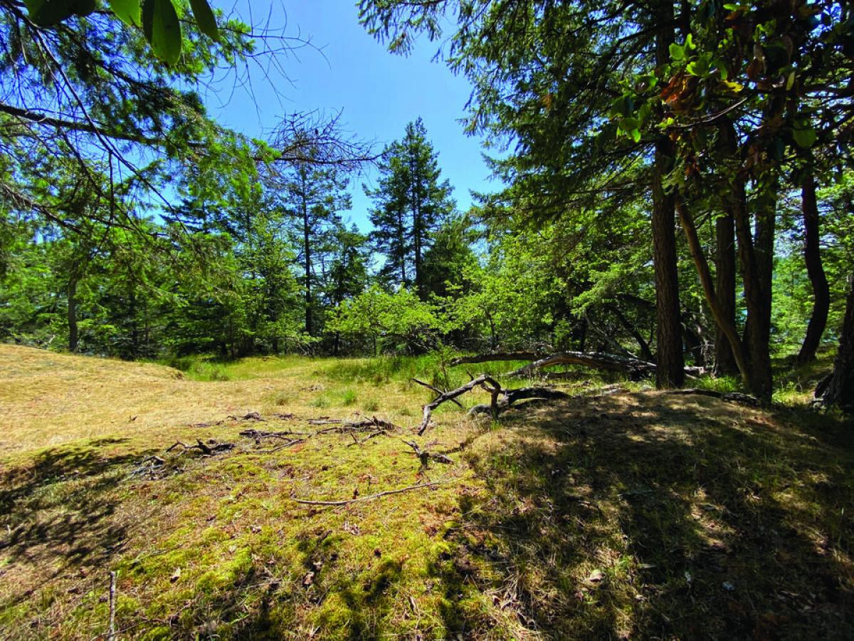 Picture of Residential Land For Sale in Stuart Island, Washington, United States