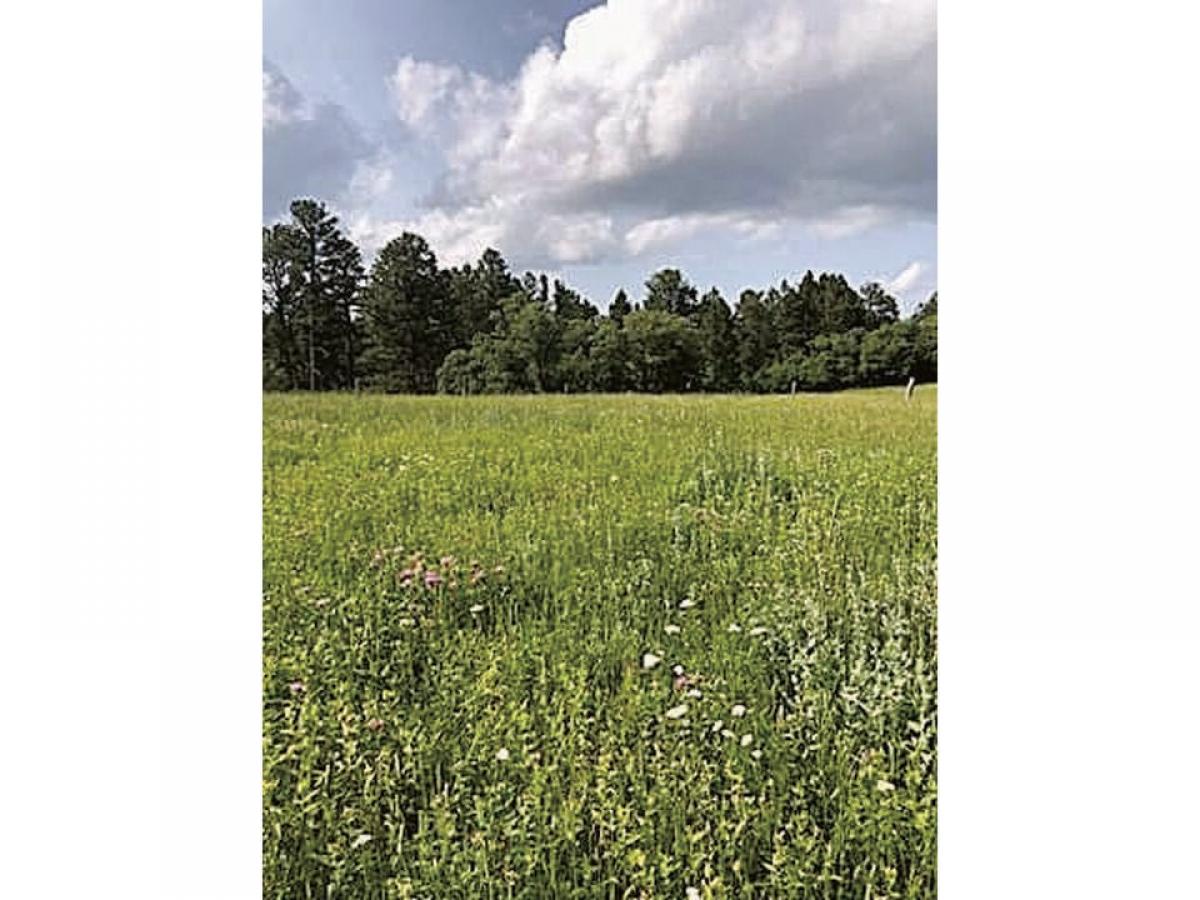 Picture of Residential Land For Sale in Sundance, Wyoming, United States