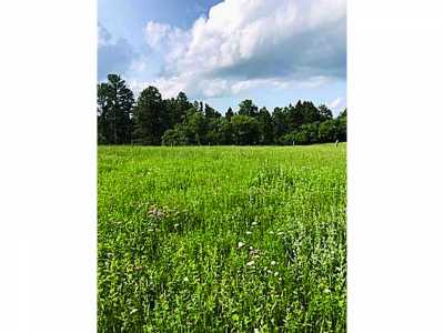 Residential Land For Sale in 