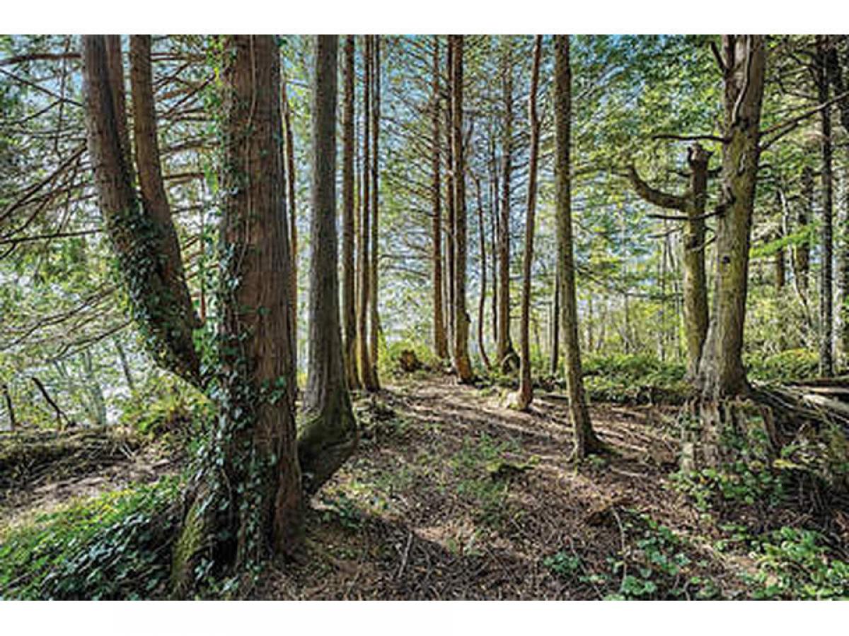 Picture of Home For Sale in Sooke, British Columbia, Canada