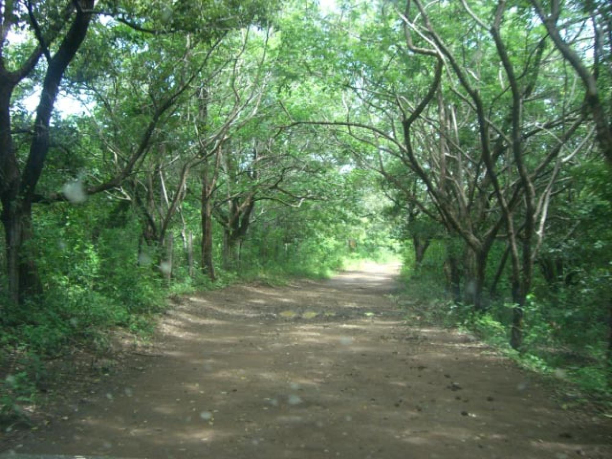 Picture of Raw Land For Sale in Bagaces, Guanacaste, Costa Rica