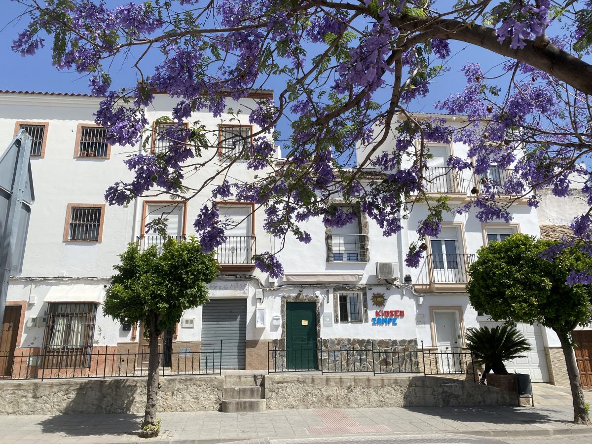 Picture of Commercial Building For Sale in Olvera, Cadiz, Spain