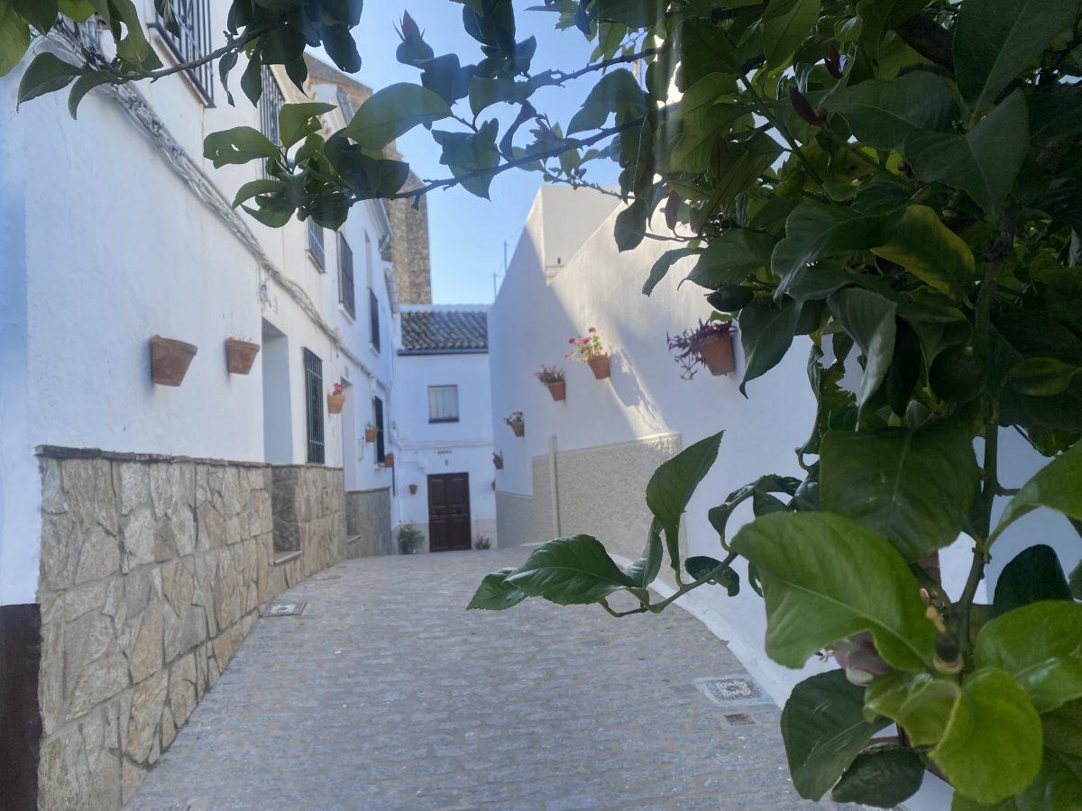 Picture of Home For Sale in Olvera, Cadiz, Spain