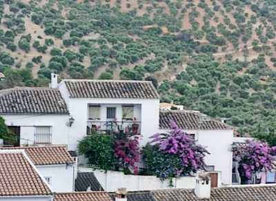 Home For Sale in Zahara De La Sierra, Spain