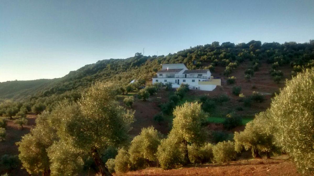 Picture of Home For Sale in Montoro, Other, Spain