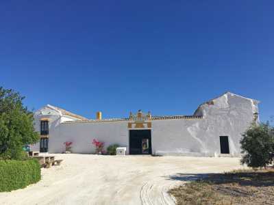 Home For Sale in Moron De La Frontera, Spain