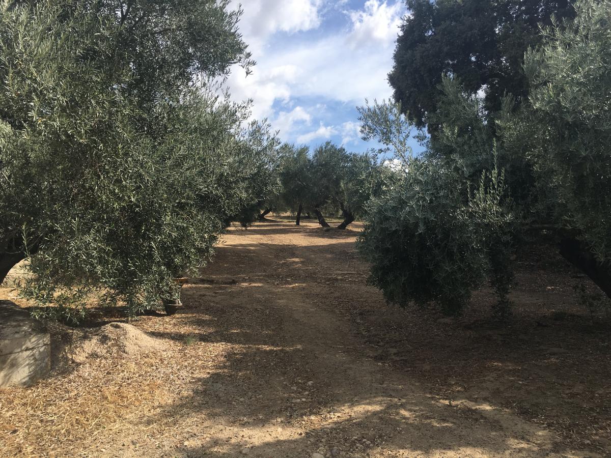 Picture of Home For Sale in Ronda, Malaga, Spain