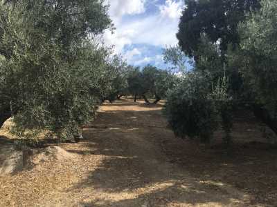 Home For Sale in Ronda, Spain