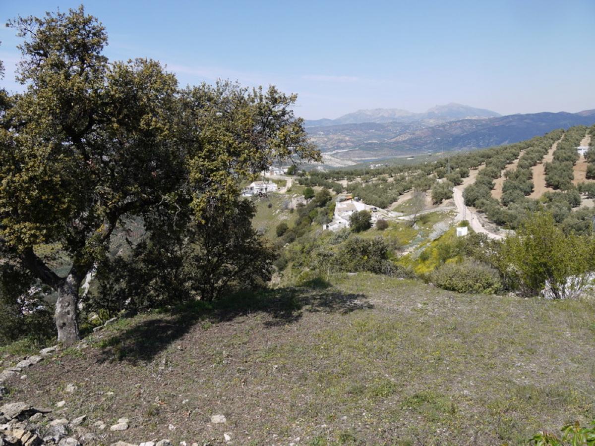 Picture of Residential Land For Sale in La Fuente Del Conde, Cordoba, Spain