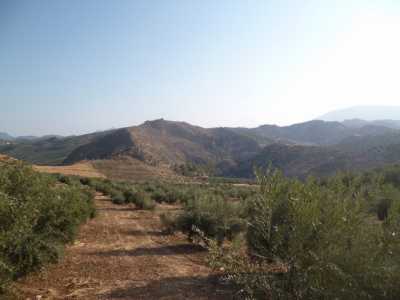 Residential Land For Sale in Olvera, Spain