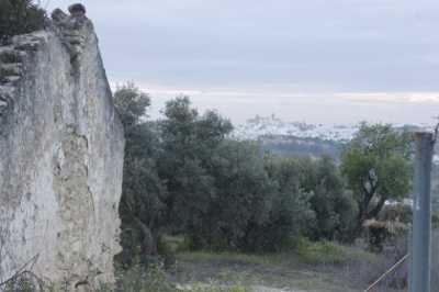 Residential Land For Sale in Arcos De La Frontera, Spain