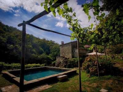 Home For Sale in Pieve Fosciana, Italy