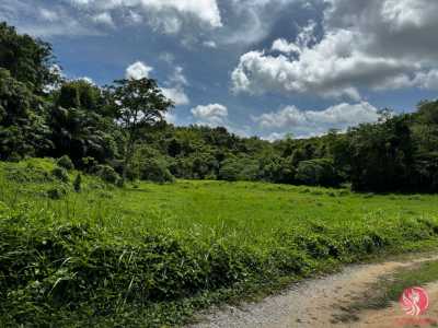 Residential Land For Sale in Layan, Thailand