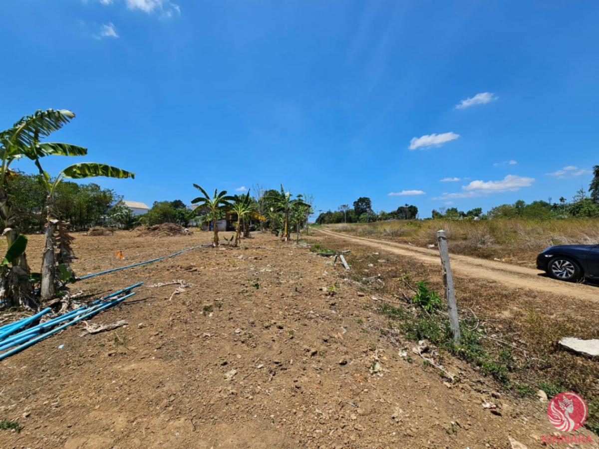 Picture of Residential Land For Sale in Si Sunthon, Phuket, Thailand