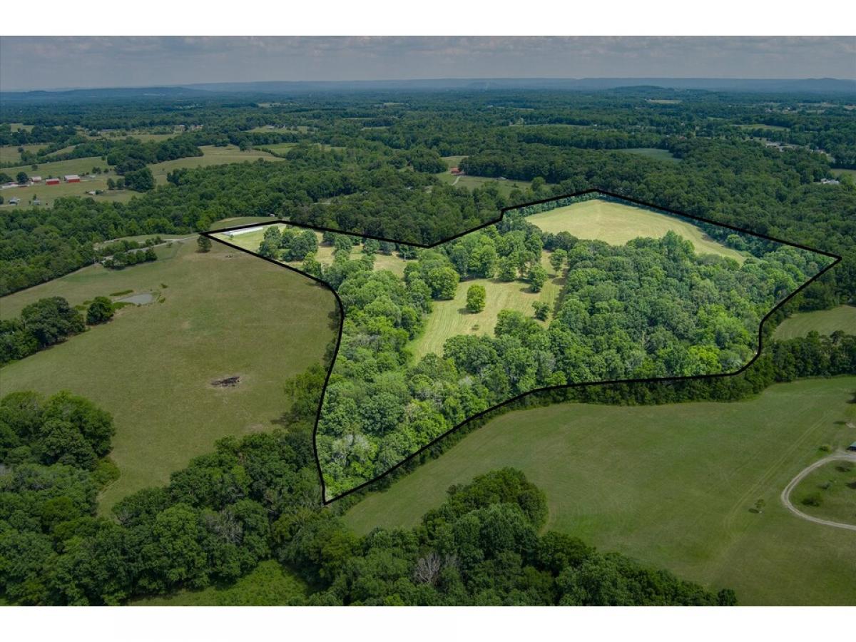 Picture of Farm For Sale in Smithville, Tennessee, United States