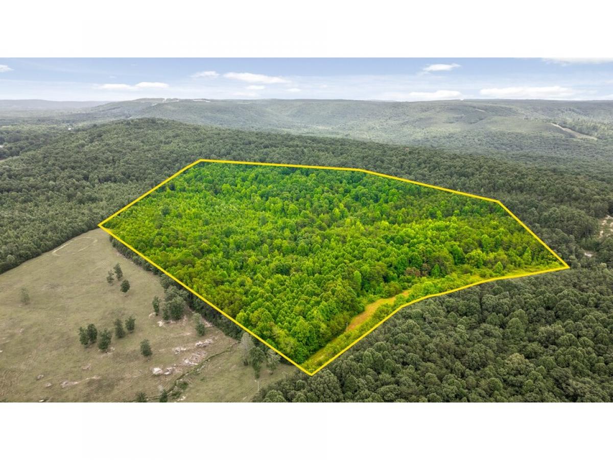 Picture of Residential Land For Sale in Gruetli Laager, Tennessee, United States