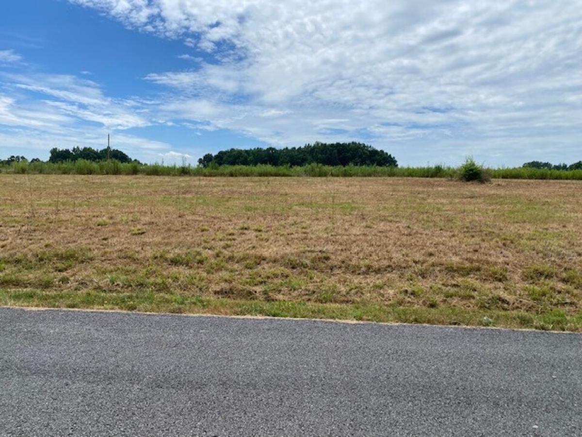 Picture of Residential Land For Sale in Sparta, Tennessee, United States