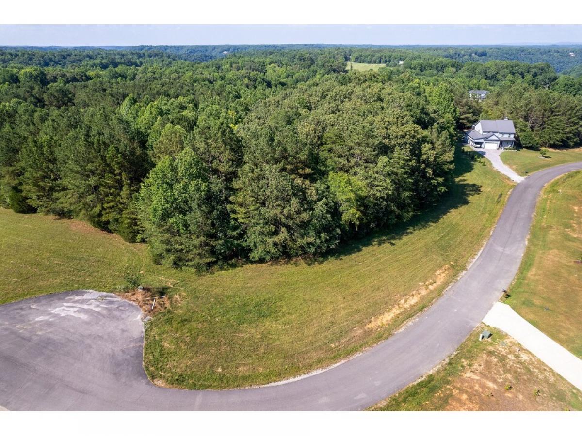 Picture of Residential Land For Sale in Smithville, Tennessee, United States