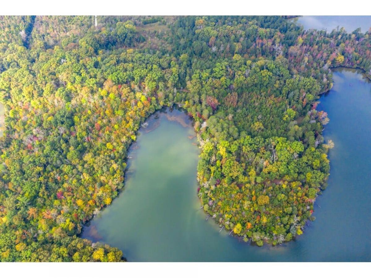 Picture of Residential Land For Sale in Rockwood, Tennessee, United States