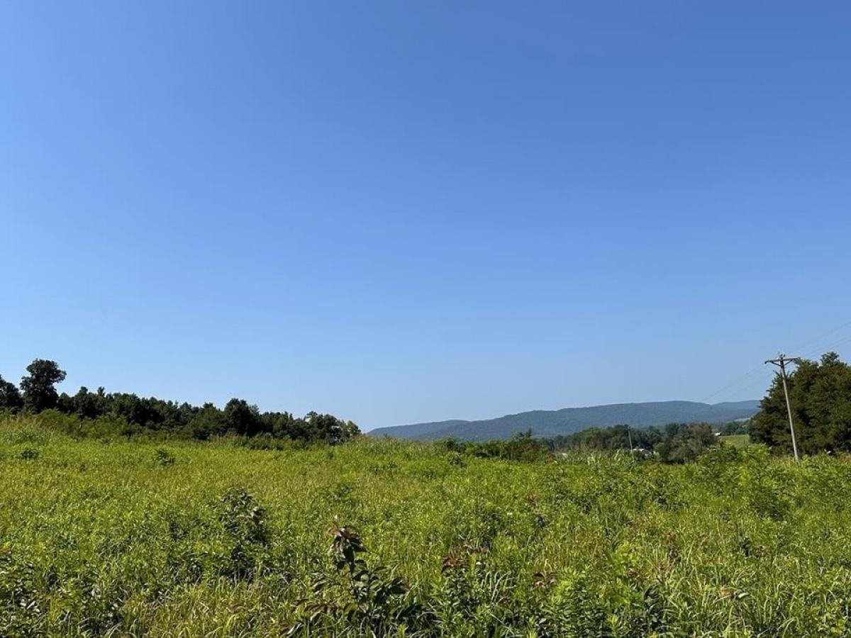 Picture of Residential Land For Sale in Alpine, Tennessee, United States