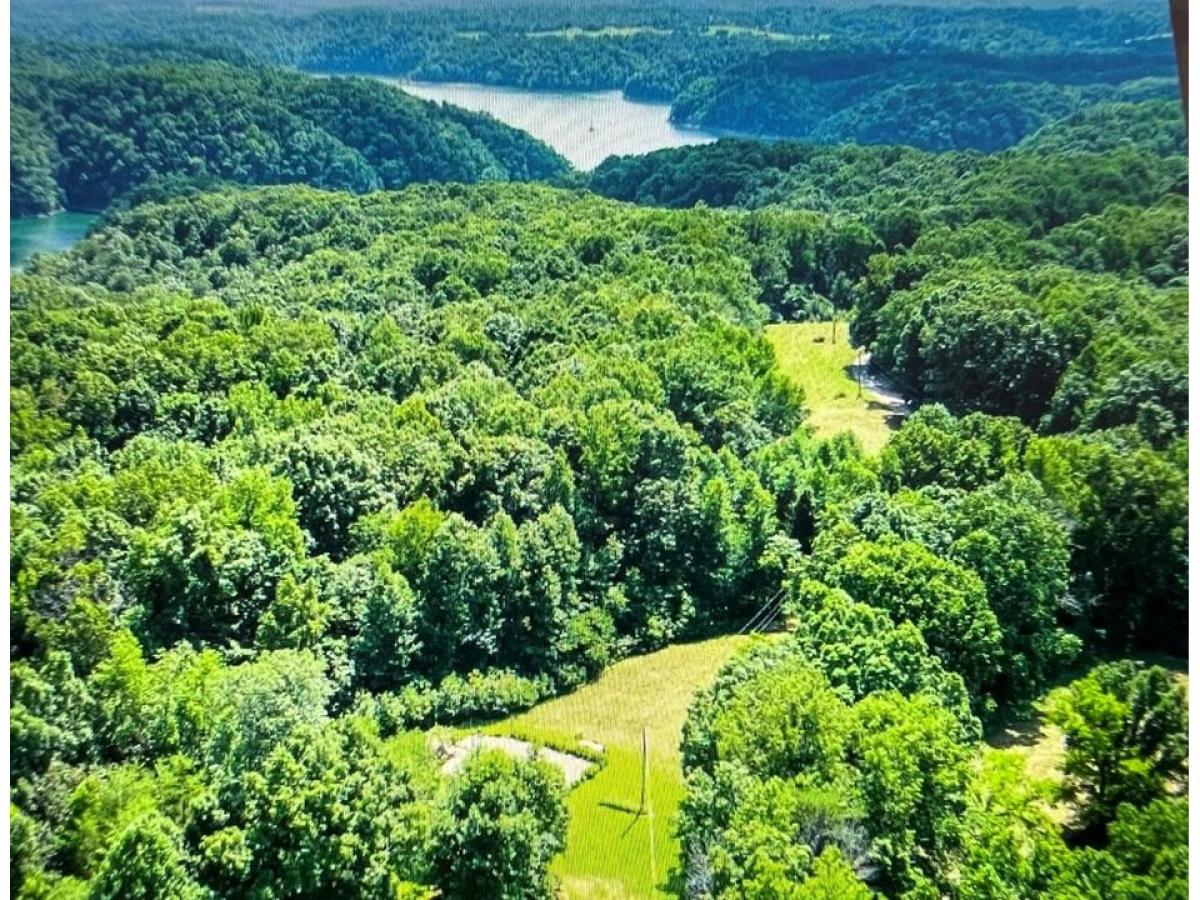 Picture of Residential Land For Sale in Albany, Kentucky, United States