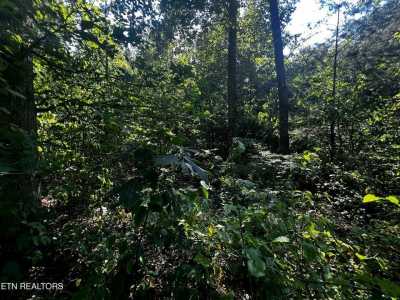 Residential Land For Sale in Crawford, Tennessee