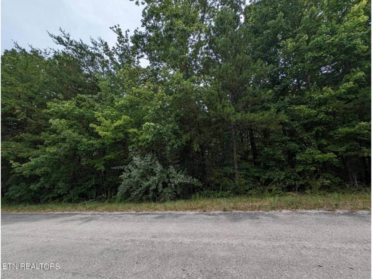 Picture of Residential Land For Sale in Crawford, Tennessee, United States