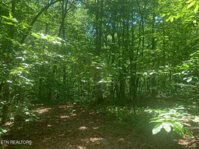 Residential Land For Sale in Monterey, Tennessee