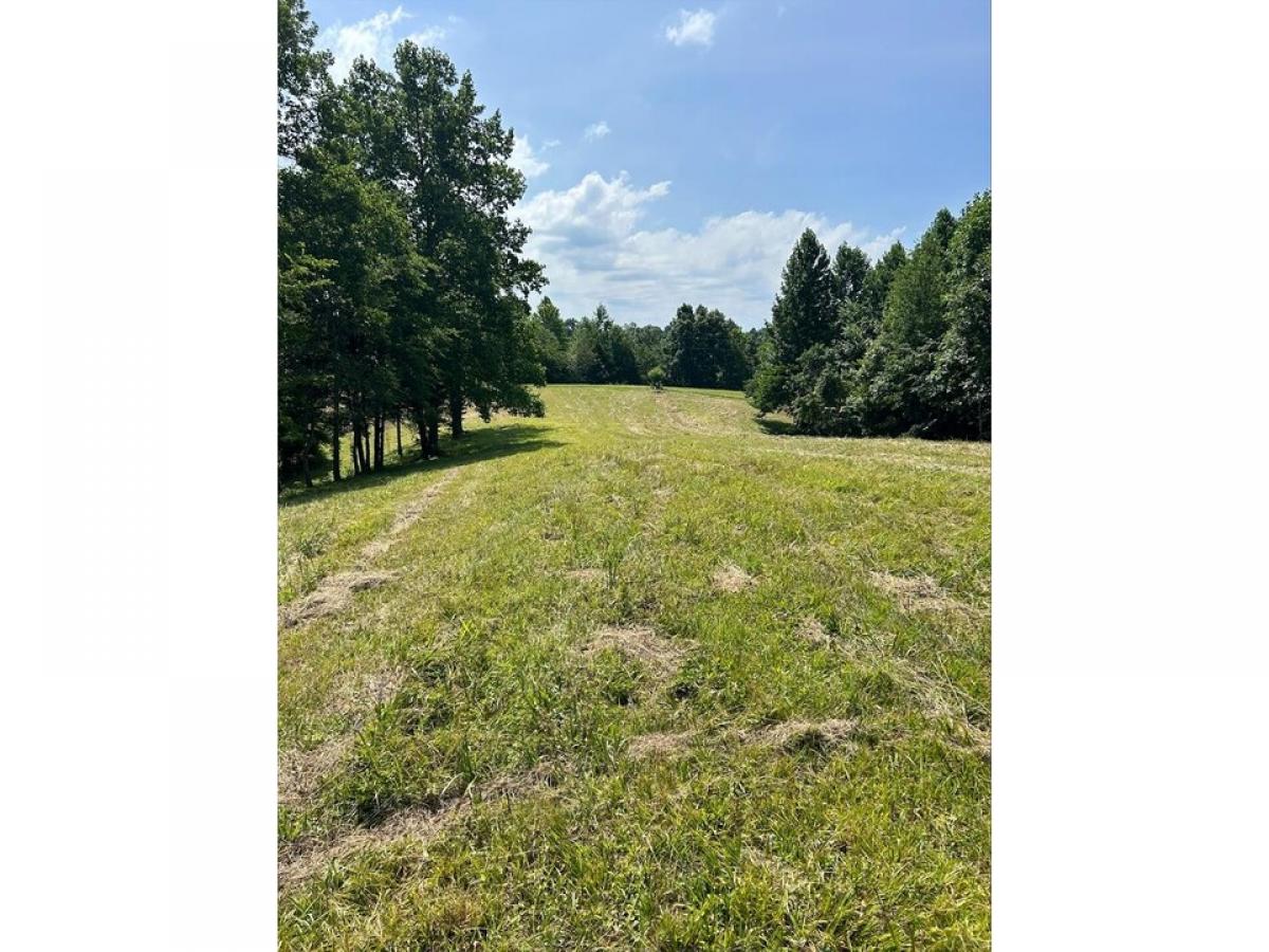 Picture of Residential Land For Sale in Hilham, Tennessee, United States