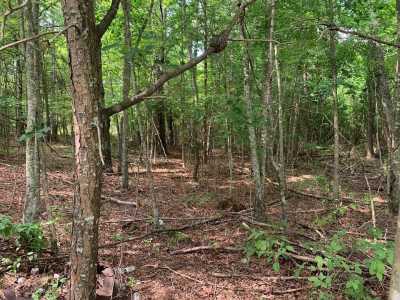 Residential Land For Sale in Spencer, Tennessee