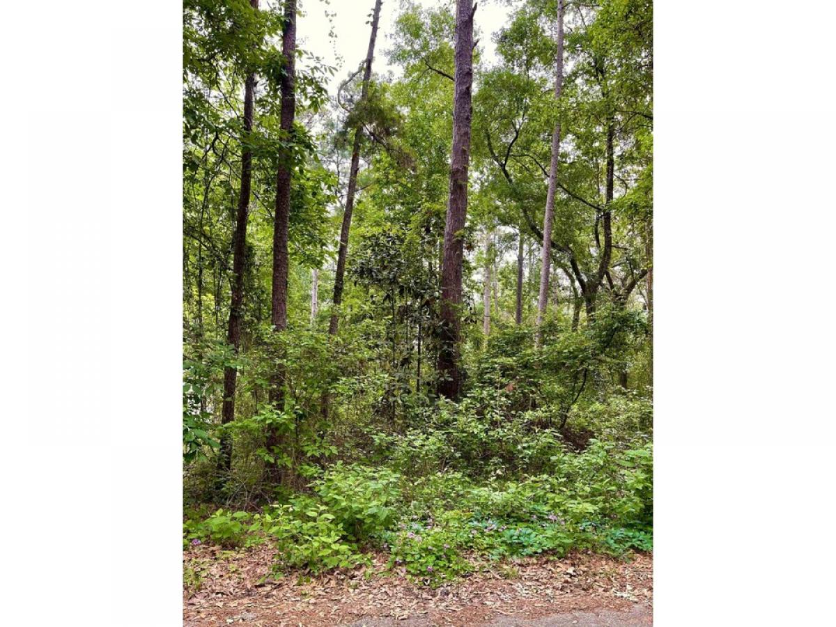 Picture of Residential Land For Sale in Tallahassee, Florida, United States