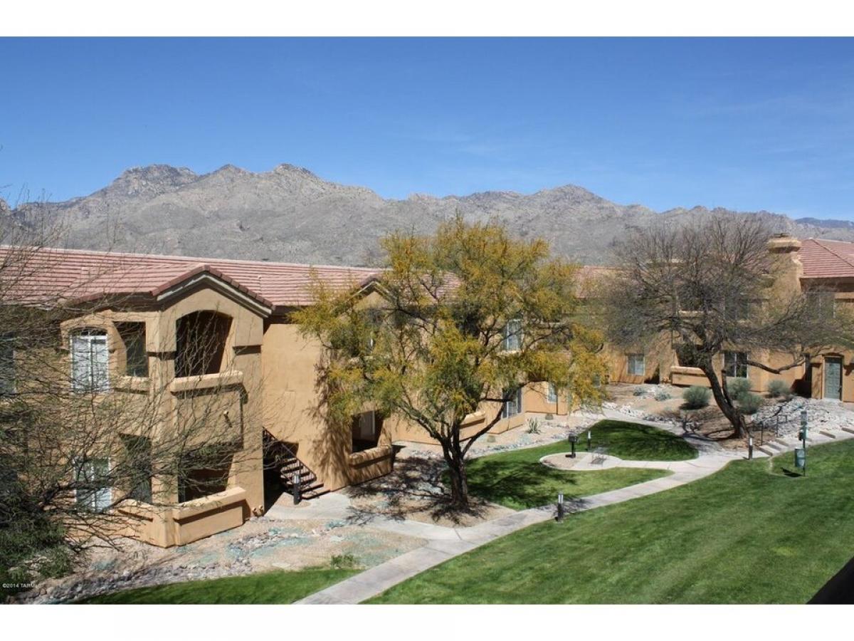 Picture of Home For Rent in Tucson, Arizona, United States