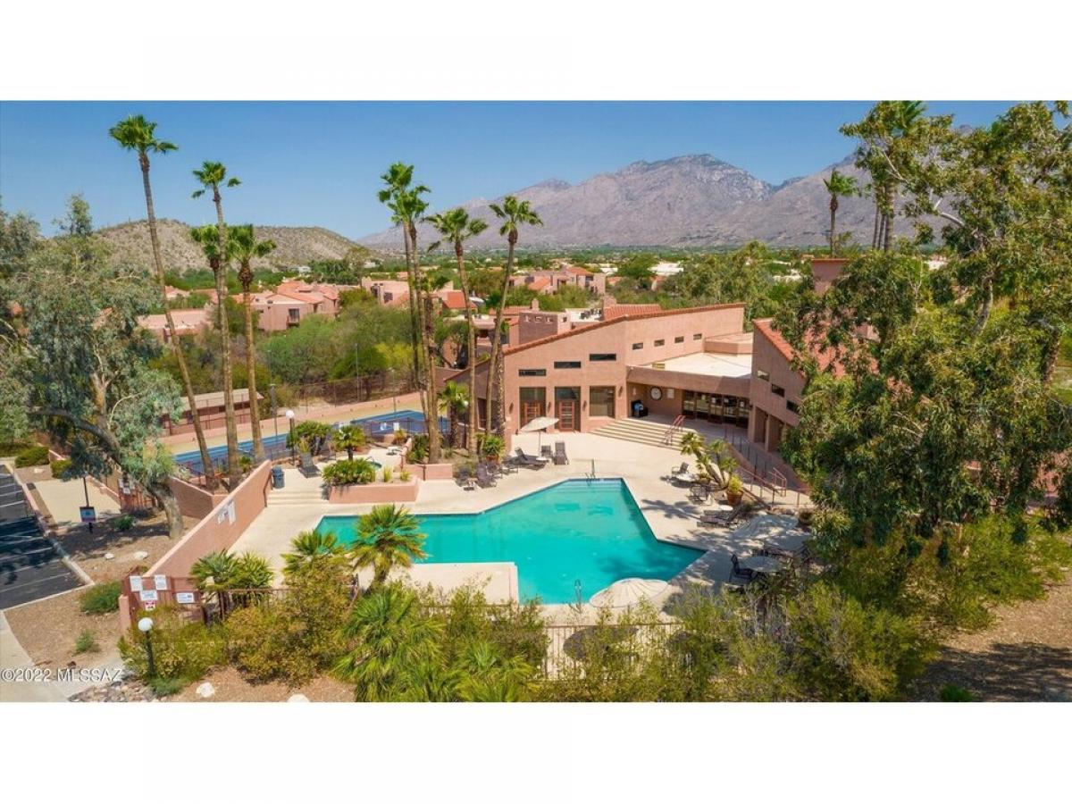 Picture of Home For Rent in Tucson, Arizona, United States