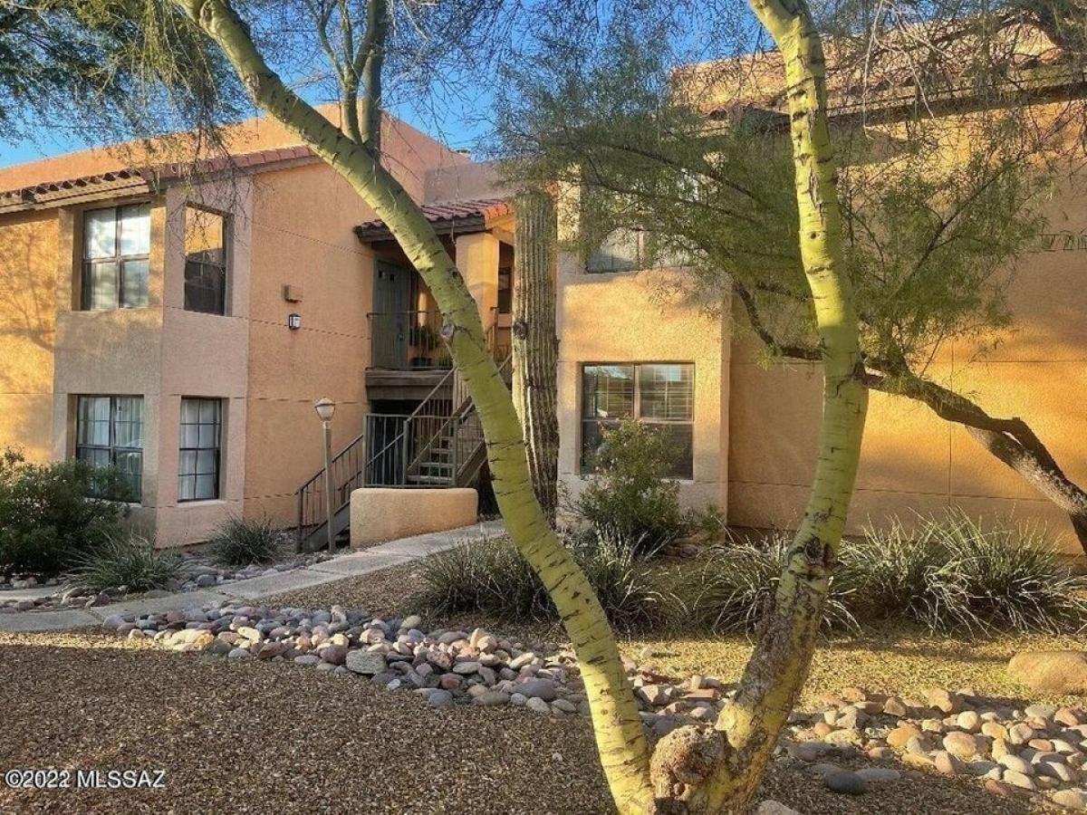 Picture of Home For Rent in Tucson, Arizona, United States