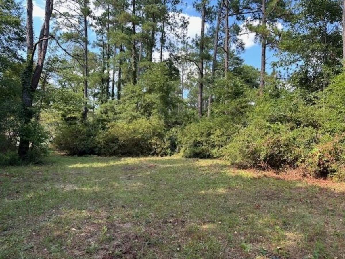 Picture of Residential Land For Sale in Valdosta, Georgia, United States