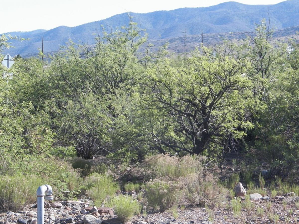 Picture of Residential Land For Sale in Clarkdale, Arizona, United States